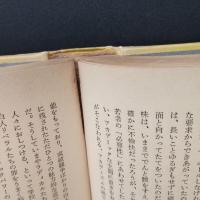 ナルシシズムの時代　