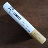 運慶・ルオー・ブレイク　岡本謙次郎美術批評集成 ☆