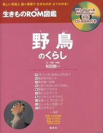 野鳥のくらし－生きものＲＯＭ図鑑