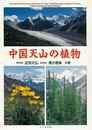中国天山の植物