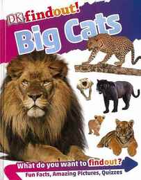 ｆｉｎｄｏｕｔ！　Ｂｉｇ　Ｃａｔｓ