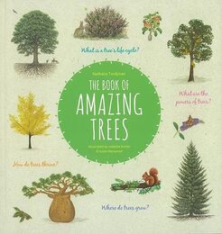 ＴＨＥ　ＢＯＯＫ　ＯＦ　ＡＭＡＺＩＮＧ　ＴＲＥＥＳ