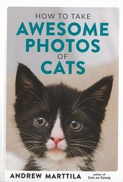 ＨＯＷ　ＴＯ　ＴＡＫＥ　ＡＷＥＳＯＭＥ　ＰＨＯＴＯＳ　ＯＦ　ＣＡＴＳ