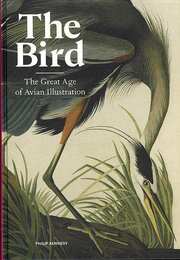Ｔｈｅ　Ｂｉｒｄ－Ｔｈｅ　Ｇｒｅａｔ　Ａｇｅ　ｏｆ　Ａｖｉａｎ　Ｉｌｌｕｓｔｒａｔｉｏｎ