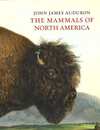 ＴＨＥ　ＭＡＭＭＡＬＳ　ＯＦ　ＮＯＲＴＨ　ＡＭＥＲＩＣＡ