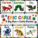 ＥＲＩＣ　ＣＡＲＬＥ　Ａ　Ｂｉｇ　Ｂｏｘ　ｏｆ　Ｌｉｔｔｌｅ　Ｂｏｏｋｓ