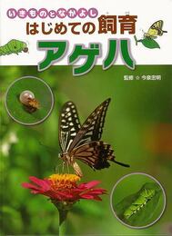 アゲハ－いきものとなかよし　はじめての飼育