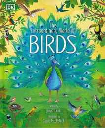 Ｔｈｅ　Ｅｘｔｒａｏｒｄｉｎａｒｙ　Ｗｏｒｌｄ　ｏｆ　ＢＩＲＤＳ