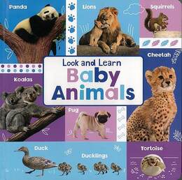 Ｌｏｏｋ　ａｎｄ　Ｌｅａｒｎ　Ｂａｂｙ　Ａｎｉｍａｌｓ