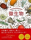 目に見えない微生物の世界－あらゆるところにたくさんいる！
