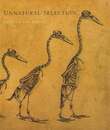 ＵＮＮＡＴＵＲＡＬ　ＳＥＬＥＣＴＩＯＮ