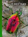 ＴＨＥ　ＬＩＶＥＳ　ＯＦ　ＢＥＥＴＬＥＳ