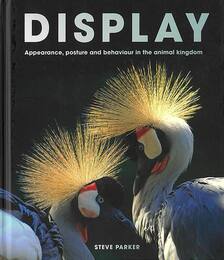 ＤＩＳＰＬＡＹ
