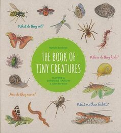 ＴＨＥ　ＢＯＯＫ　ＯＦ　ＴＩＮＹ　ＣＲＥＡＴＵＲＥＳ