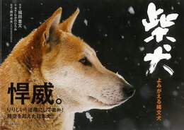 柴犬　よみがえる縄文犬