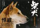 柴犬　よみがえる縄文犬