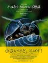 写真で見る小さな生きものの不思議－土壌動物の世界