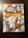 Winds 宮崎の色 : photo card book