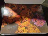 Winds 宮崎の色 : photo card book