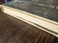 黒鳥の旅もしくは幻想庭園