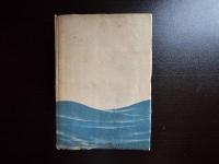 南海の侠兒 : 日柳燕石傳