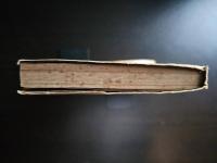 南海の侠兒 : 日柳燕石傳