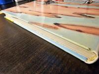 白いなみ白いなみイルカが行く