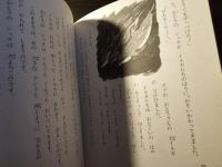 白いなみ白いなみイルカが行く