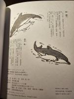 白いなみ白いなみイルカが行く