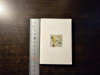 北の鳥 南の鳥 ―思い出の鳥たち―