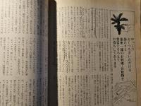 季刊芸術