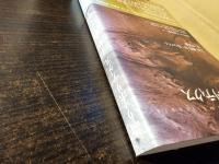 語りのポリティクス : 言語/越境/同一性をめぐる8つの試論