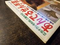 あんでるせん手芸 : 広告チラシを利用して篭を作る