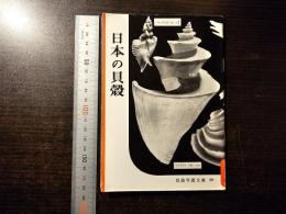 日本の貝殻