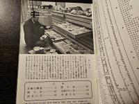 日本の貝殻