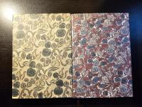 斑鳩逍遙 続・斑鳩逍遙 ２冊セット