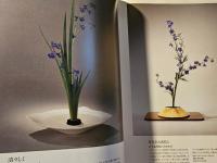 いきいきいけばな