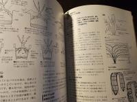 バラのガーデンデザイン