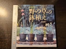 四季を楽しむ野の草の鉢植え