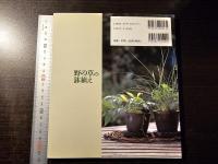 四季を楽しむ野の草の鉢植え