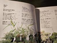 四季を楽しむ野の草の鉢植え