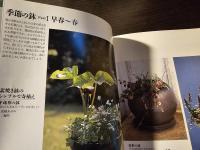 四季を楽しむ野の草の鉢植え