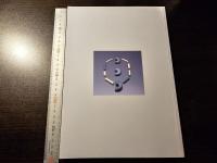 ひょうご復興の街から : 「発掘された日本列島'97」地域展示