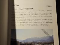 ひょうご復興の街から : 「発掘された日本列島'97」地域展示