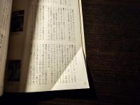 ユリイカ 1997年4月号 臨時増刊 総特集 20世紀を読む