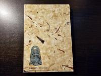 古代出雲を歩く 古代遺跡探訪