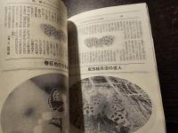 百躍の蝶々