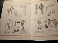 失敗しない さし木・とり木・つぎ木
