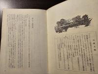 南十字星の下
