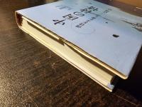 中国の詩情 : 漢詩をよむ楽しみ